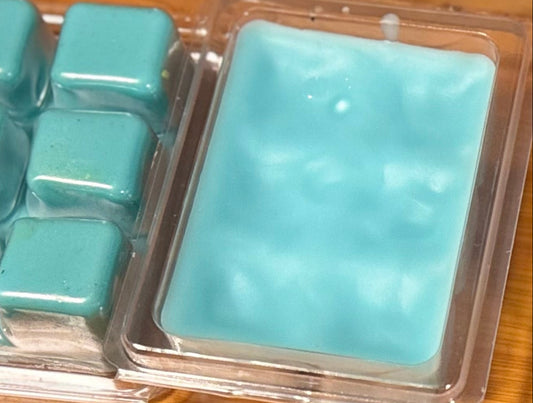 6 pack traditional wax melts coconut wax scent blends 